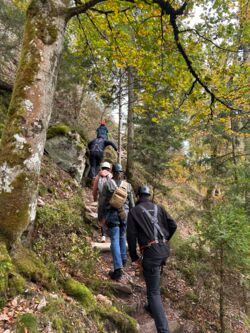 STEP Jahresausflug 2024: Aufstieg zur Zipline in Triberg